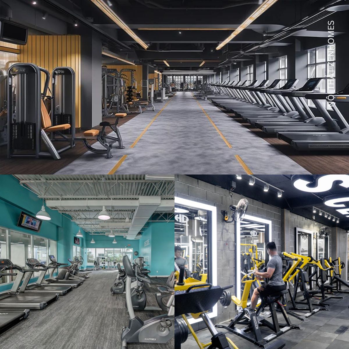 Thiết kế nội thất khu vực tập luyện chính phòng gym