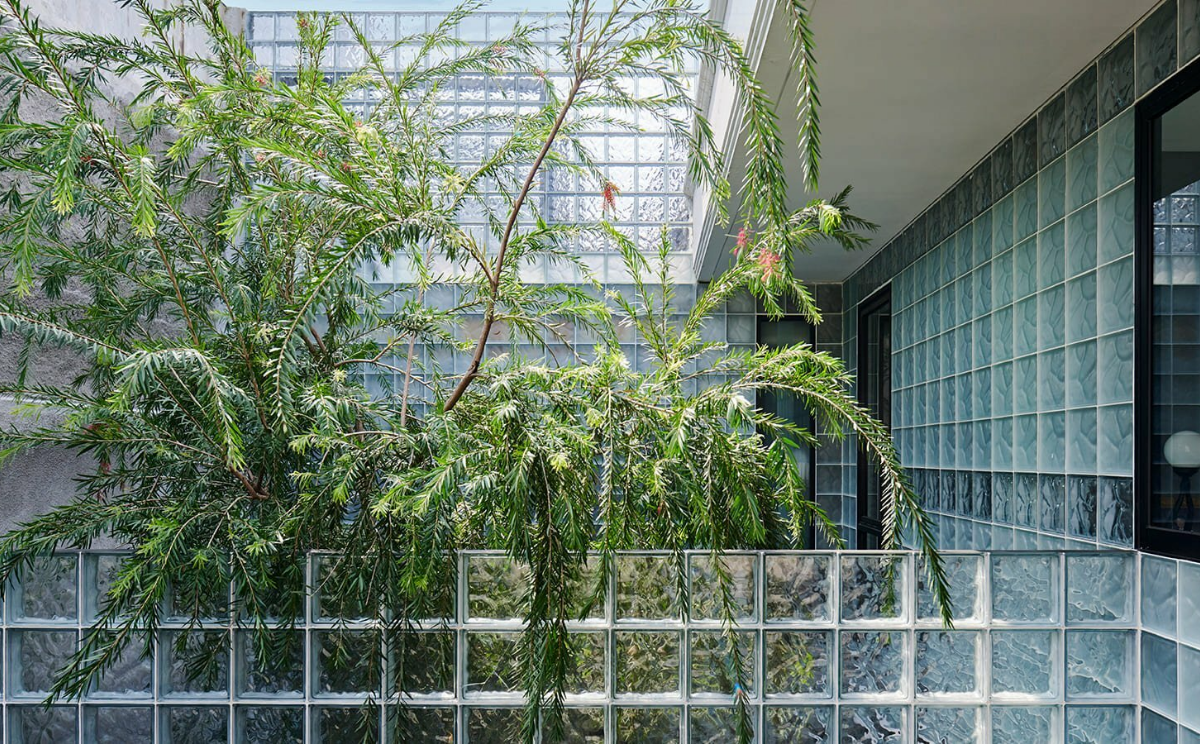 Tường gạch kính lấy sáng