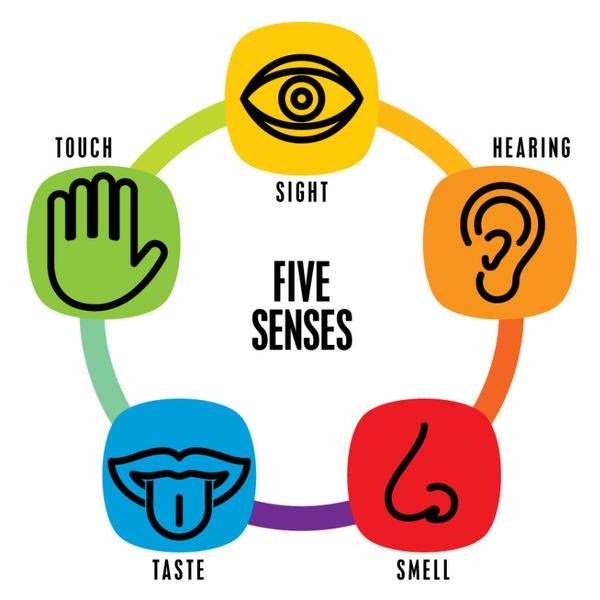 Thiết kế thi công nội thất showroom cần chú ý nhận diện thương hiệu