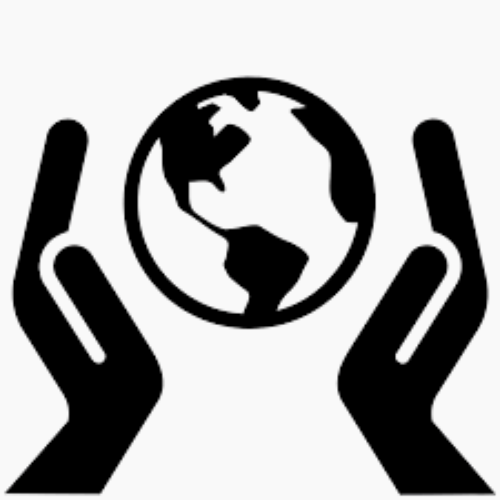 Cửa gỗ tự nhiên - Zenhomes