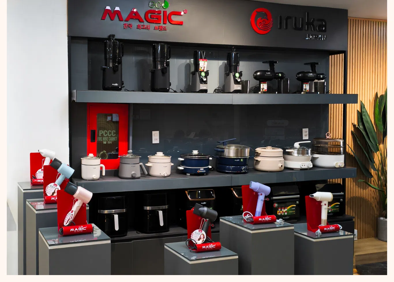 thiết kế showroom magic bình chánh