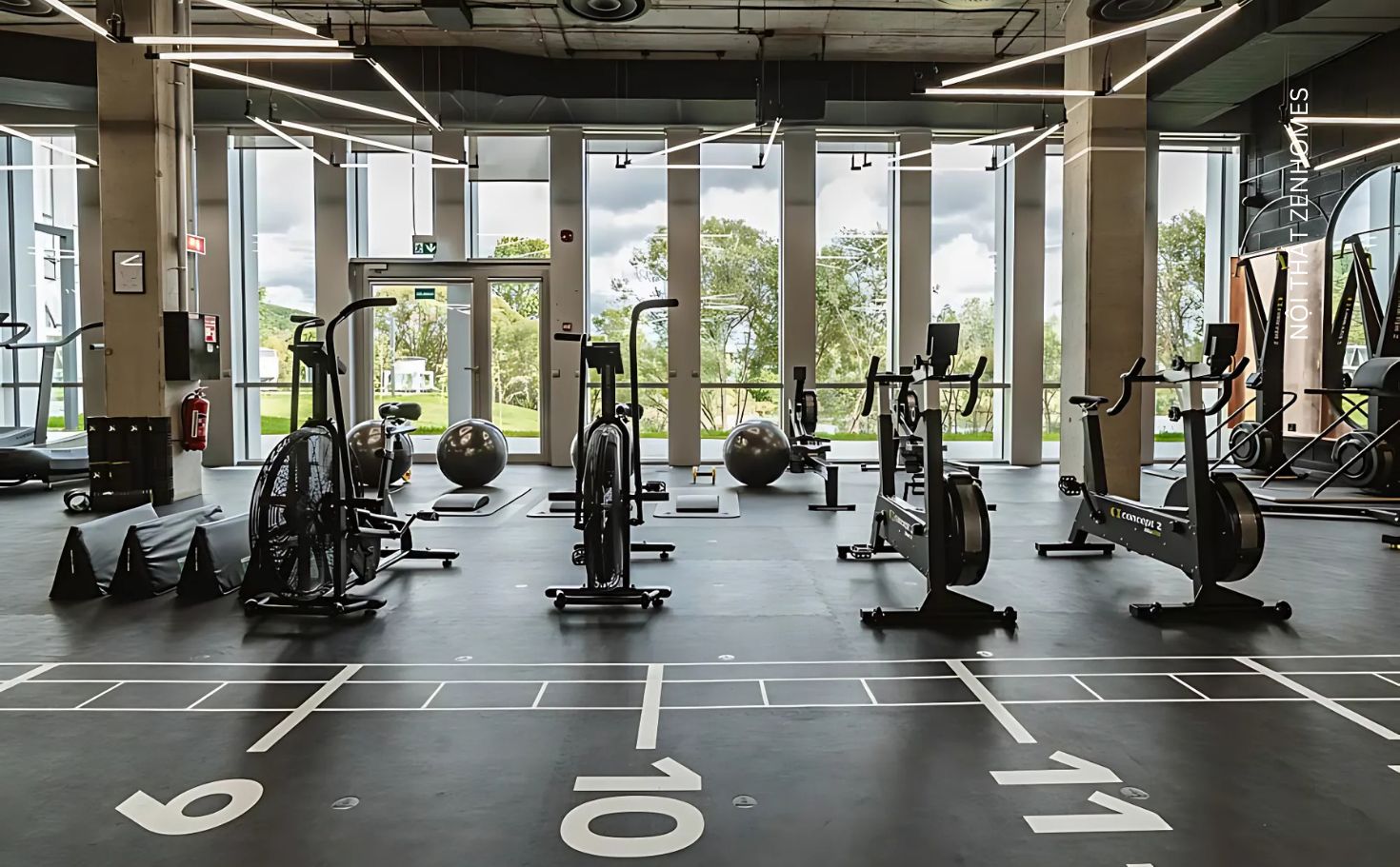 sàn phòng gym