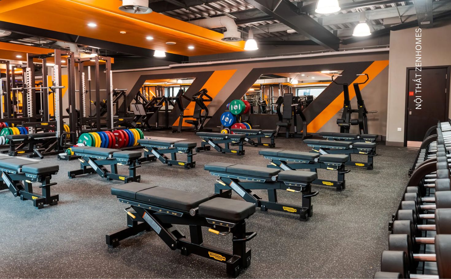 Dụng cụ tạ tập gym chuyên dụng